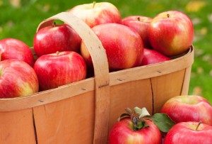 apples iStock